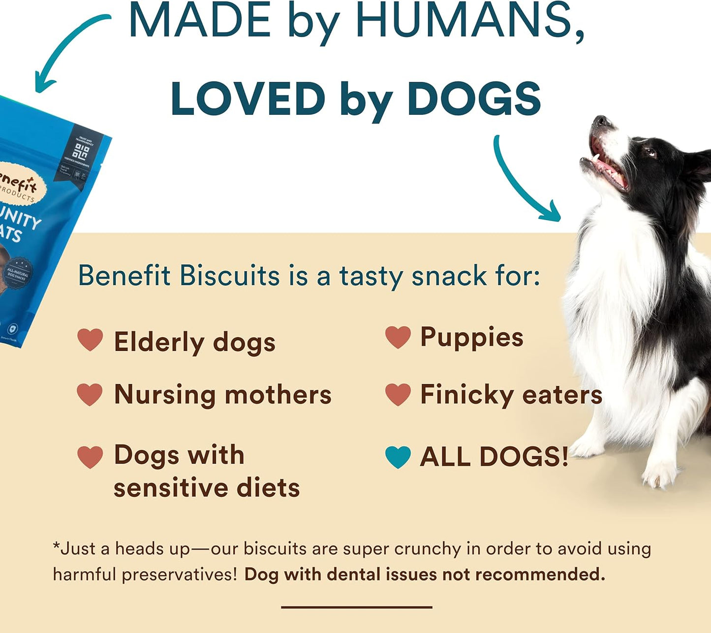 Benefit Biscuits, All Natural Dog Treats, Certified Vegan, Non GMO, Wheat Free, Healthy Dog Biscuits, Made in USA (Blueberry, Regular Bag (7Oz))