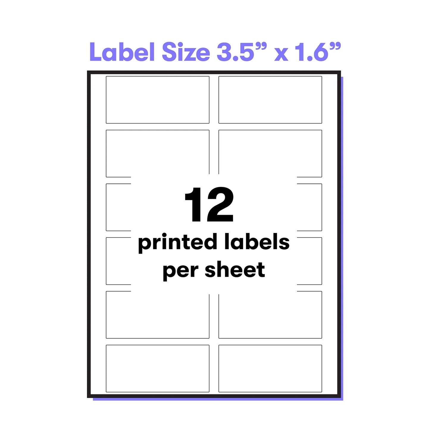 Clear Multipurpose Labels, Pack of 24