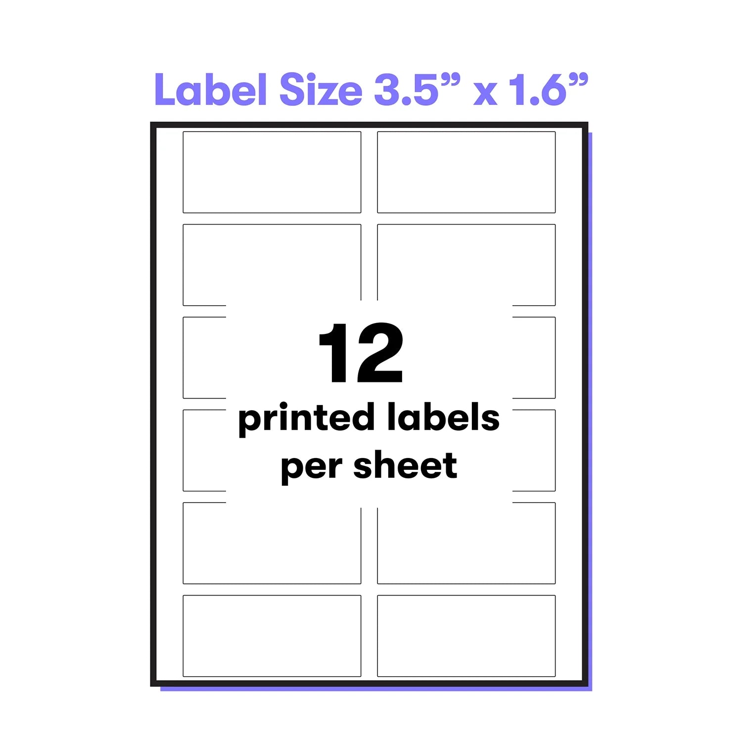Clear Multipurpose Labels, Pack of 24