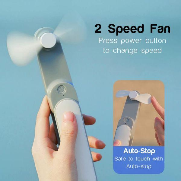 Folding Fan 24 piece display Bundle